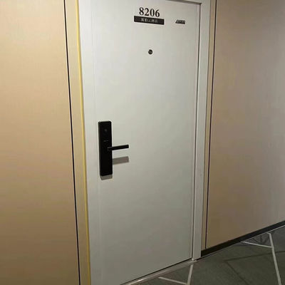 Security Doors Contemporary Style With Durability Weather Resistant And Secure Design